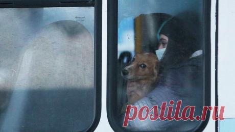 В Курской области ввели режим ЧС - РИА Новости, 20.02.2022