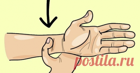 Удели себе пару минут на простое массирование антистрессовых точек, если тревожное состояние не покидает тебя! Верь-не-верь, но этот метод заключает в себе восточную мудрость, проверенную тысячелетиями.
Твои друзья тоже сгорают от стресса? Так расскажи им, как успокоиться!