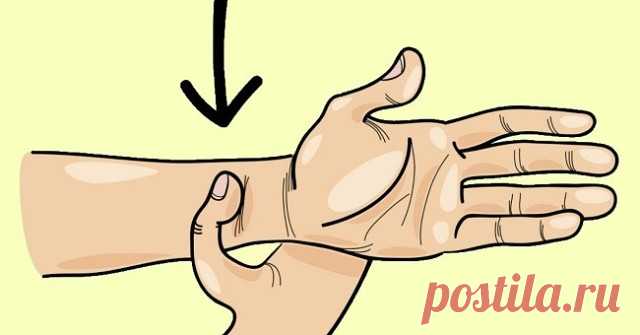 Удели себе пару минут на простое массирование антистрессовых точек, если тревожное состояние не покидает тебя! Верь-не-верь, но этот метод заключает в себе восточную мудрость, проверенную тысячелетиями.
Твои друзья тоже сгорают от стресса? Так расскажи им, как успокоиться!