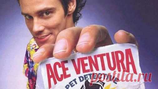 Эйс Вентура все части  бесплатно - Городской портал Караганды - www.krglive.com