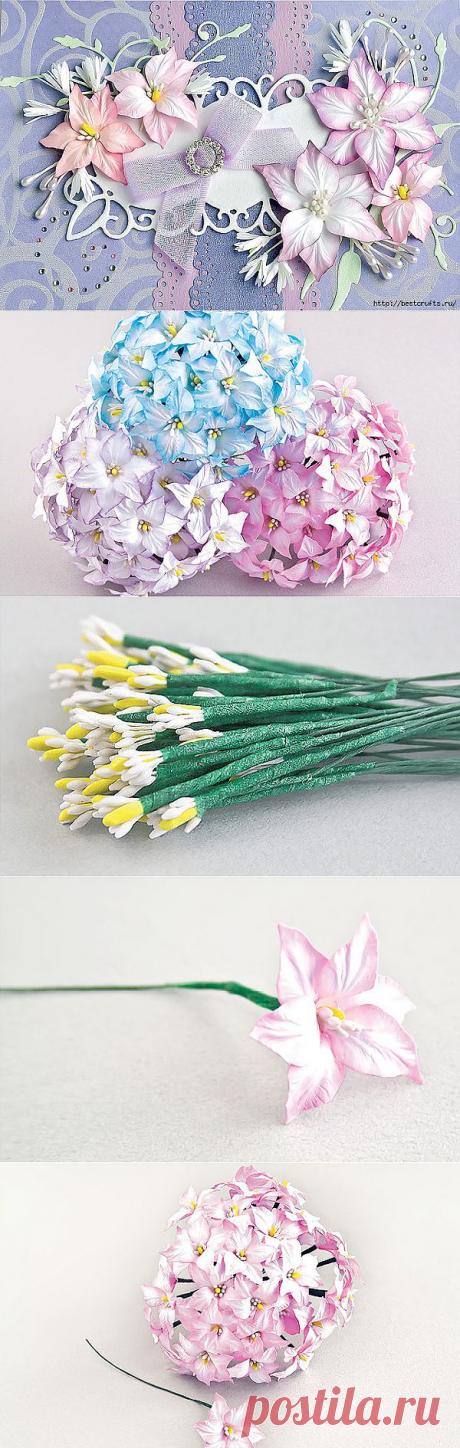 Хионодокса из бумаги.