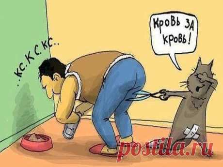 Блиииииин, я тоже кота кастрировал ! Теперь надо быть на чеку .......