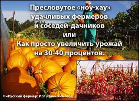 Как просто увеличить урожай на 30-40 процентов или Пресловутое «ноу-хау» удачливых фермеров и соседей-дачников