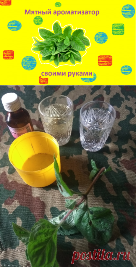 Делаем ароматизатор из мяты, который не оставит в покое не одну рыбу | О рыбалке 🎣 | Яндекс Дзен