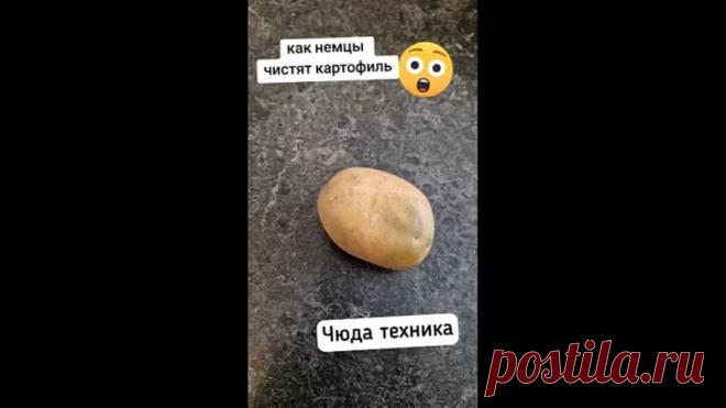 Это прикол или правда???