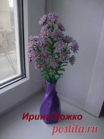 МК Астры 