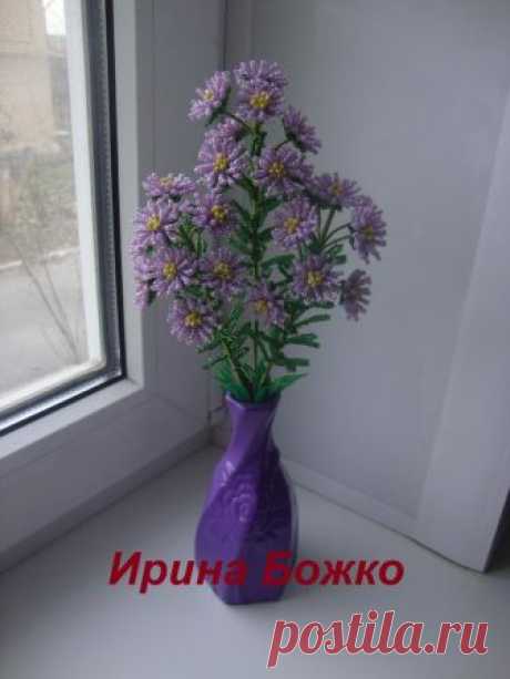 МК Астры "Сентябринки"