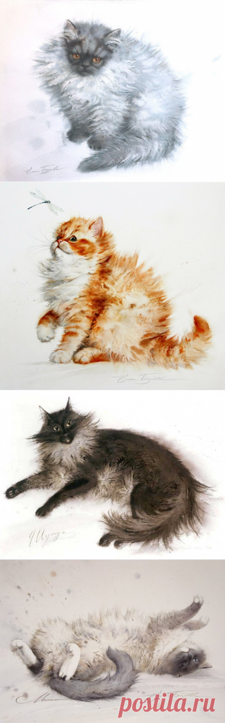 Кошки Елены Базановой