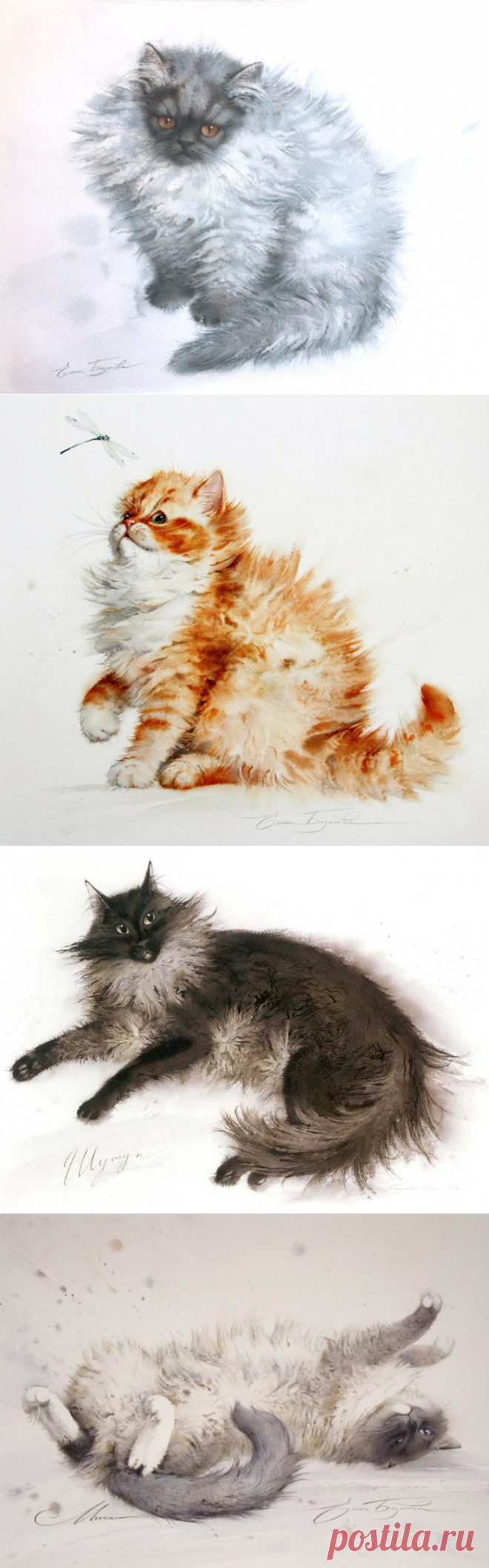 Кошки Елены Базановой