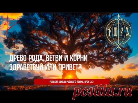 Урок 30. Здравствуй или привет? Древо рода. Ветви и корни. Виталий Сундаков