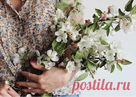 Территория моей Души...