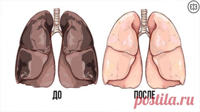 Смешайте ЭТО с апельсиновым соком, чтобы удалить никотин из вашего тела! — Полезные советы