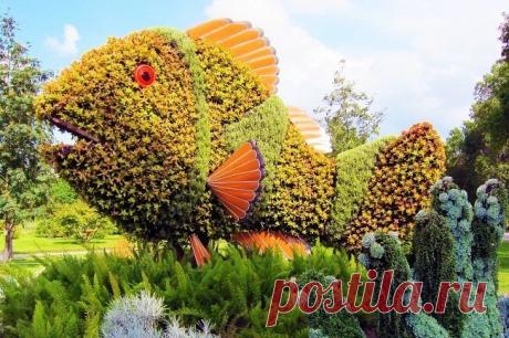 Помоги себе сам! Народные рецепты и советы.
Мария Николаевна