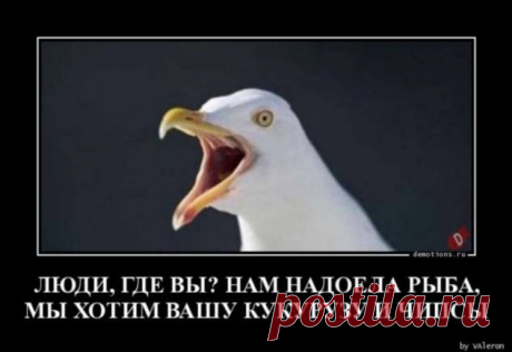 Большой сборник демотиваторов в понедельник (33 фото) . Тут забавно !!!