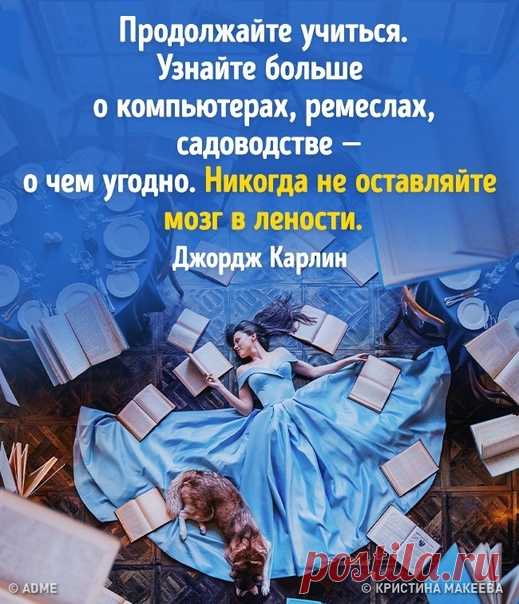 19 метких высказываний Джорджа Карлина, которые учат жить без розовых очков: bit.ly/2mbEltR: