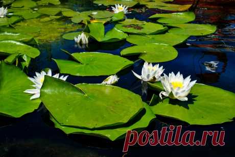 Редактировать описание