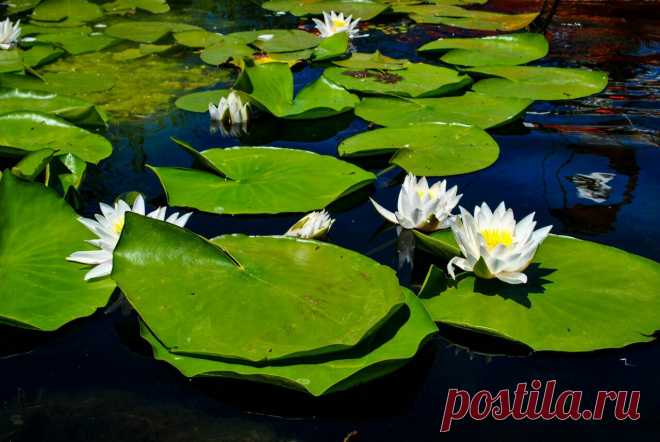 Редактировать описание