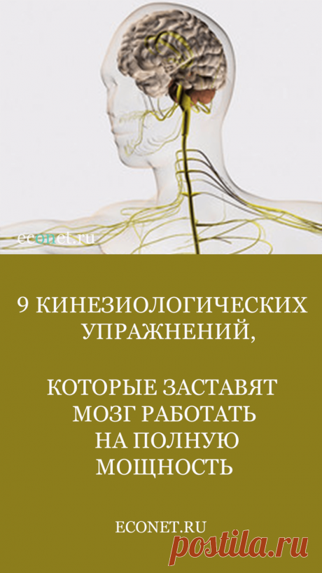 9 кинезиологических упражнений, которые заставят мозг работать на