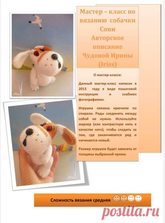 Собачка Соня