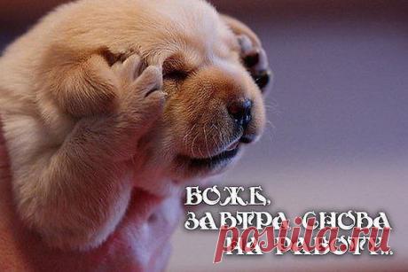 Интересные новости