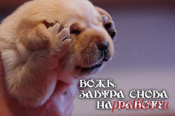 Интересные новости