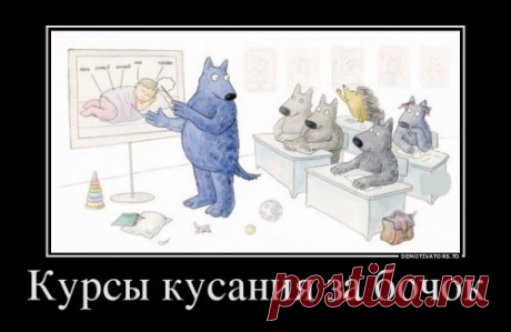 Новые демотиваторы на любой вкус