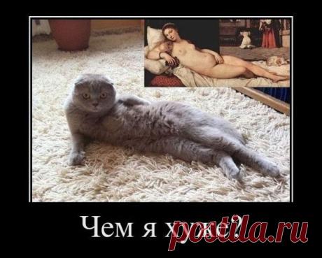 Одноклассники