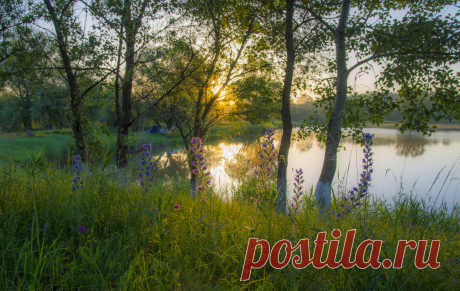 ФотоЛюбка * – ФотоКто