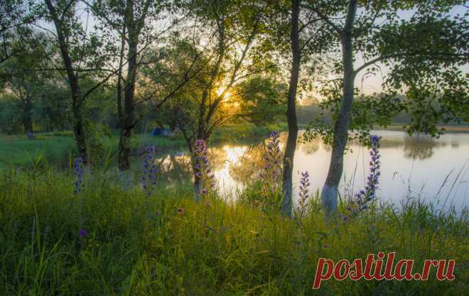 ФотоЛюбка * – ФотоКто