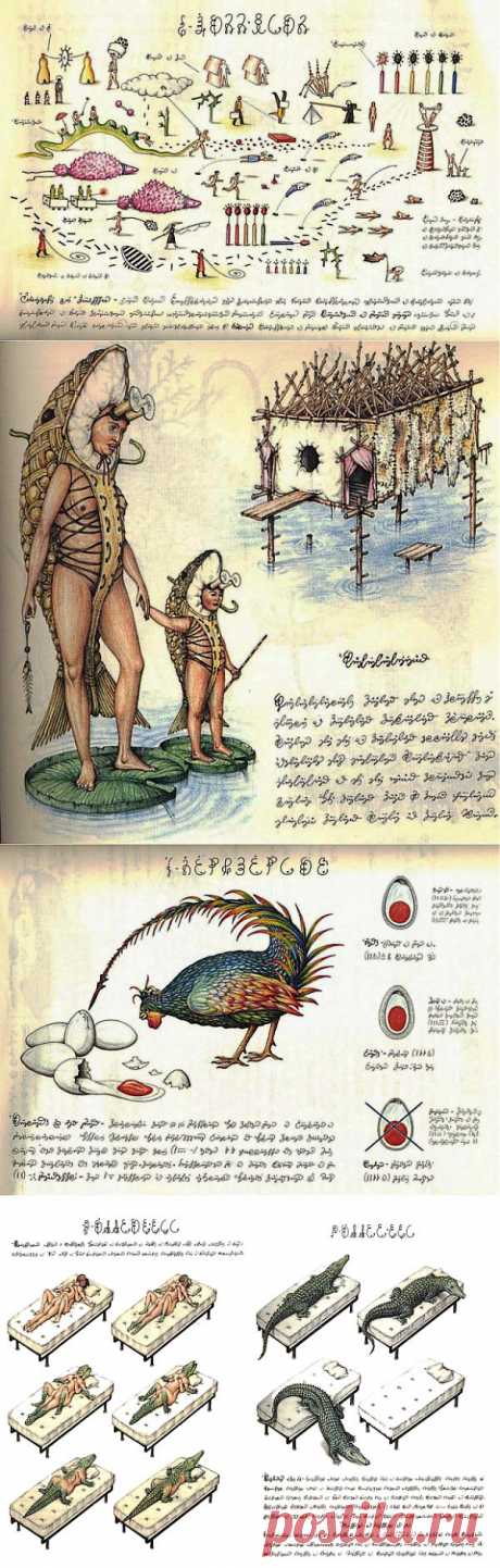 Codex Seraphinianus — энциклопедия на неизвестном языке, проиллюстрированная невозможными вещами • Фактрум