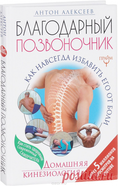 Купить книгу «Благодарный позвоночник. Как навсегда избавить его от боли. Домашняя кинезиология» автора Антон Алексеев и другие произведения в разделе Книги в интернет-магазине OZON.ru. Доступны цифровые, печатные и аудиокниги. На сайте вы можете почитать отзывы, рецензии, отрывки. Мы бесплатно доставим книгу «Благодарный позвоночник. Как навсегда избавить его от боли. Домашняя кинезиология» по Москве при общей сумме заказа от 3500 рублей. Возможна доставка по всей России....