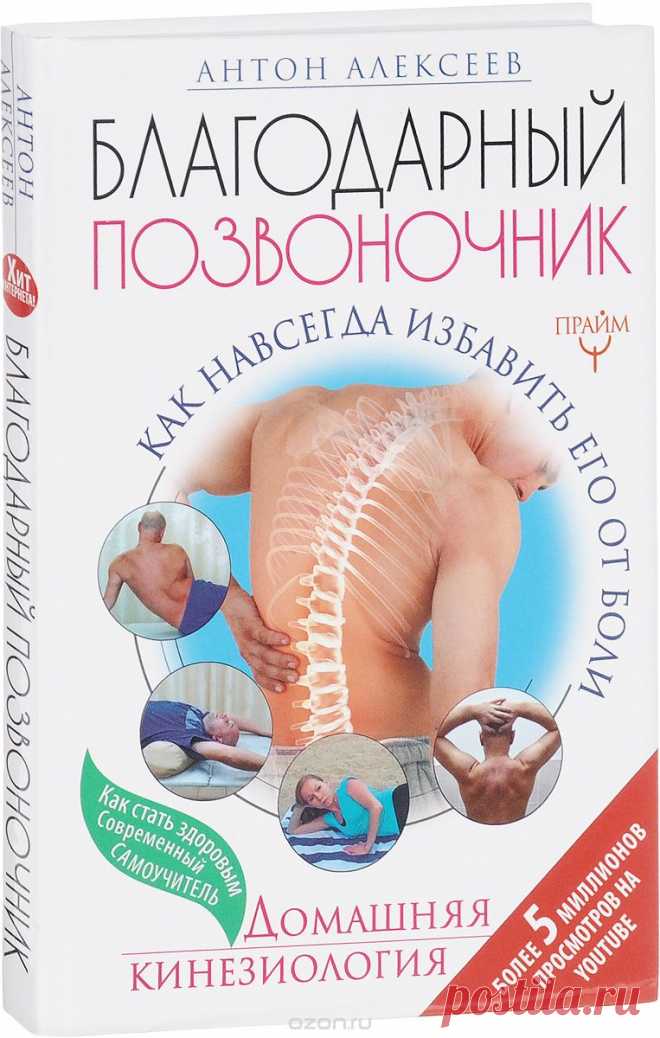 Купить книгу «Благодарный позвоночник. Как навсегда избавить его от боли. Домашняя кинезиология» автора Антон Алексеев и другие произведения в разделе Книги в интернет-магазине OZON.ru. Доступны цифровые, печатные и аудиокниги. На сайте вы можете почитать отзывы, рецензии, отрывки. Мы бесплатно доставим книгу «Благодарный позвоночник. Как навсегда избавить его от боли. Домашняя кинезиология» по Москве при общей сумме заказа от 3500 рублей. Возможна доставка по всей России....