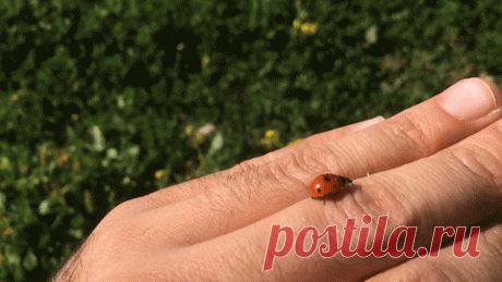 i-617.jpg (480×270)