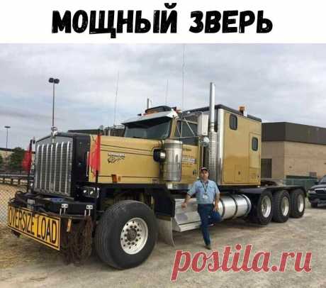 (26) Одноклассники