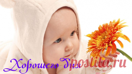 Хорошего дня