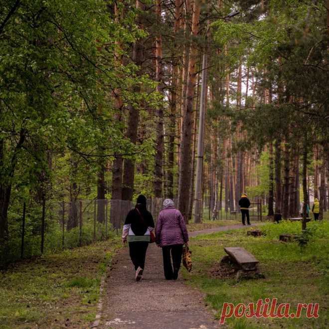 👪 Место, где можно не просто отдохнуть, но и оздоровиться душой
💁 Приветливый персонал 🌲 Живописная природа 💖 Приятные цены
🌍 Владимирская обл., Собинский район, с. Березники 📞 8(495)367-30-28