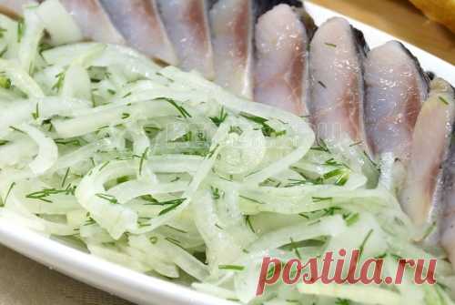 Маринованный лук к селедке без уксуса Маринованный лук к селедке без уксуса, это вкусная закуска, простое и доступное дополнение к соленой селедке. Специально для тех кому не нравится уксус.