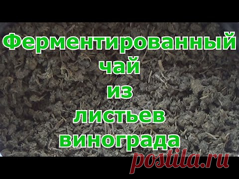 Ферментированный чай из листьев винограда
