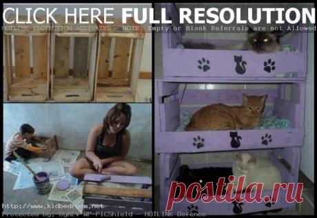 Создание Cat двухъярусными кроватями: 14 Интересные Cat двухъярусными кроватями идей изображения