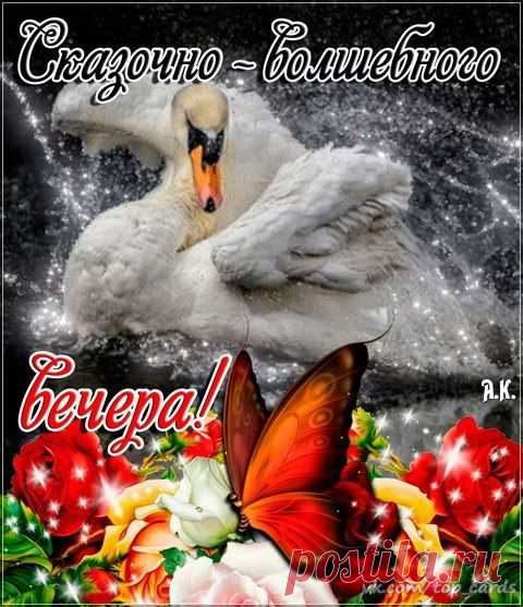 ╭დ╯СВЕТ ДУШИ╭დ╯