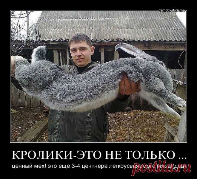 Анекдотики коротенькие, но симпатишные для развлечения
