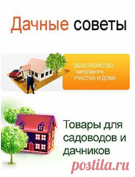 Дачные советы - сайт для садоводов, огородников и цветоводов