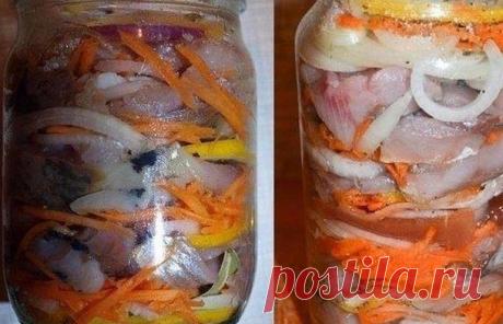 Селёдка по-голландски - У нас так Селёдка по-голландски. Возьмите на вооружение рецепт селёдки по-голландски . Такие банки опустошаются за раз! Эта рыбка со стола сметается в первую очередь. Советую очень! Продукты: -Сельдь свежемороженная —...