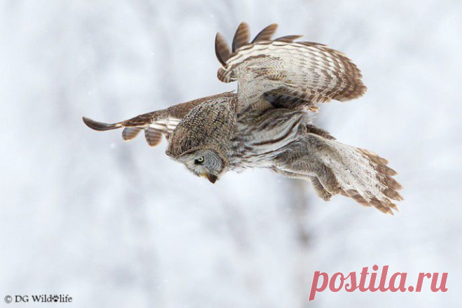 20 лучших фотографий недели (20.01.2014-26.01.2014) | В мире интересного