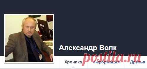 Власти гонят из дома репатриантку, сохраняющую уникальную израильскую породу собак | HAIFAINFO.RU ХАЙФАИНФО HAIFAINFO.COM