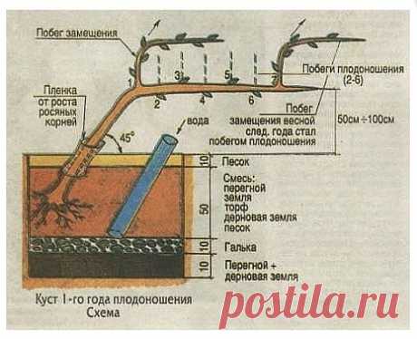 Одноклассники