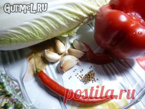 Кимчи. Рецепт с фото. Пошаговые фотографии. Gurmel