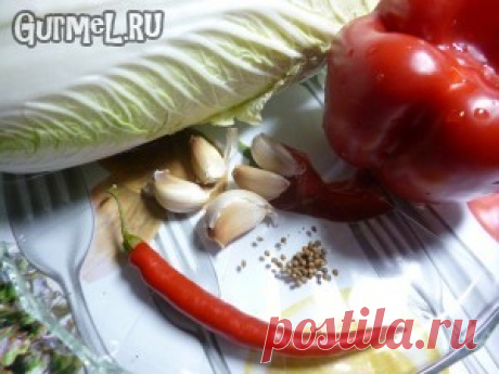 Кимчи. Рецепт с фото. Пошаговые фотографии. Gurmel