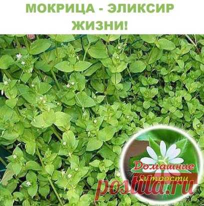 Одноклассники