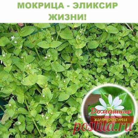 Одноклассники